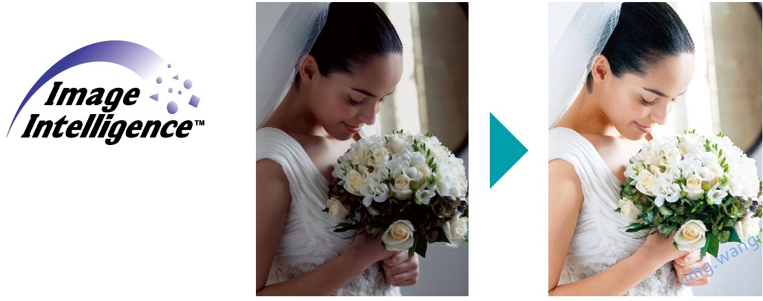 ASK-500，染料升华打印机