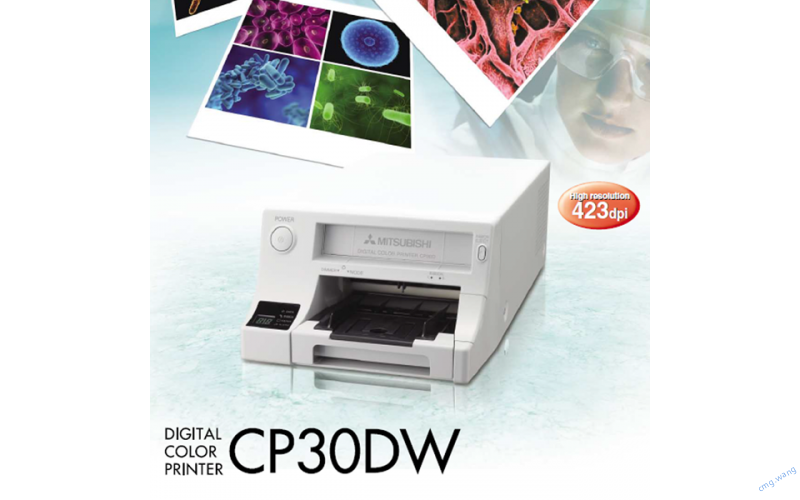 CP-30DW 打印机