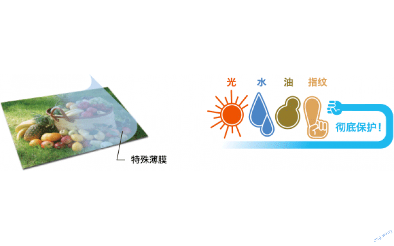 照片打印新玩法！西铁城CY-02、悦印U826徽章个性定制方案